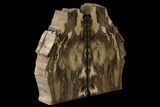 Petrified Wood Bookends - Oregon #117225-2